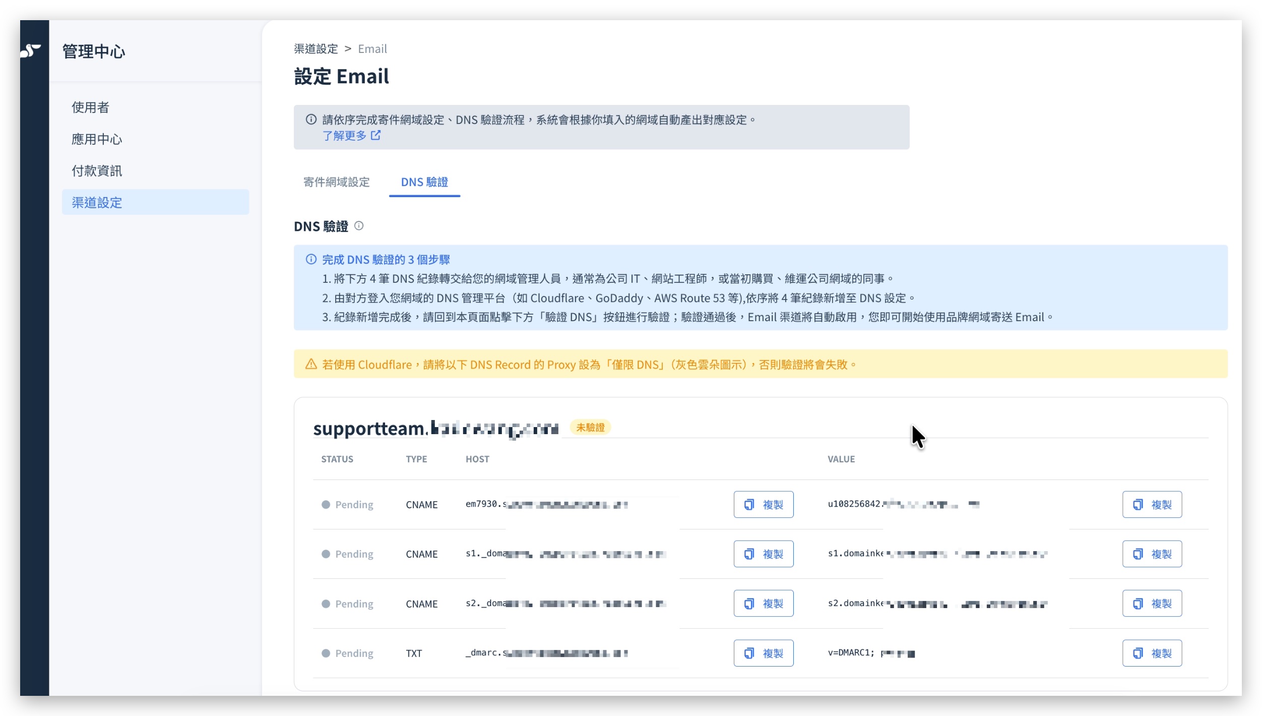The DNS verification tab: the 4 system-generated DNS records with copy buttons